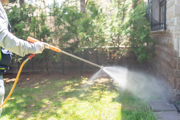 Reliable Penn Valley, CA Pest Control Solutions